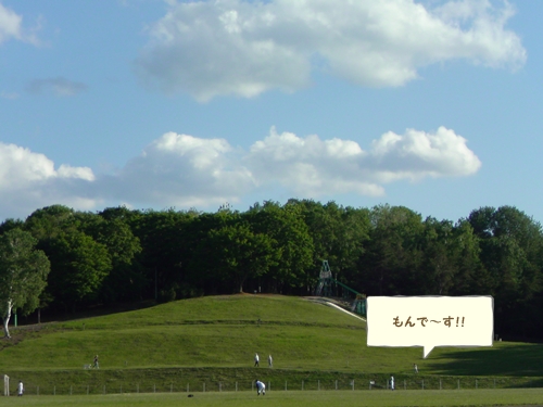 f0175051_6131215.jpg