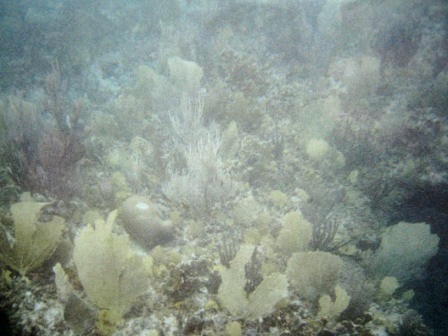 b0173754_10563433.jpg