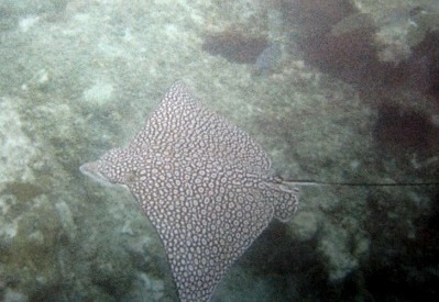 b0173754_105935100.jpg