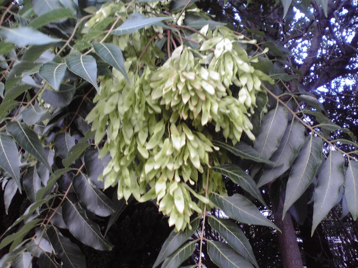 f0057955_210153.jpg