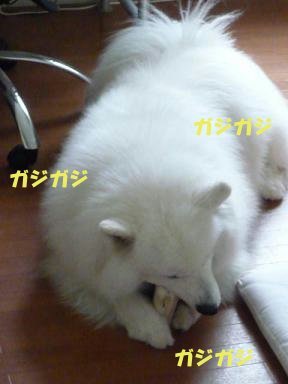 e0176159_23294870.jpg