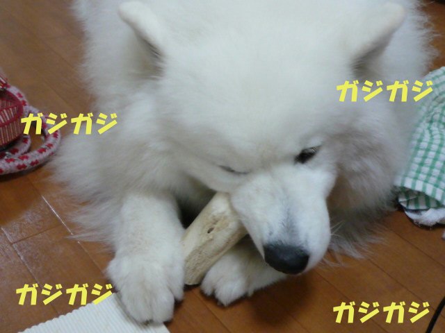 e0176159_23332482.jpg