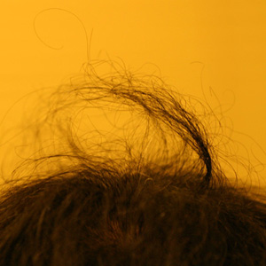 e0177459_1181375.jpg