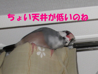 b0158061_21552758.jpg