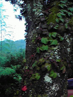 c0144868_2274815.jpg