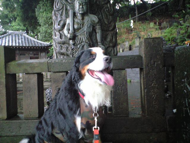 c0177668_2112937.jpg