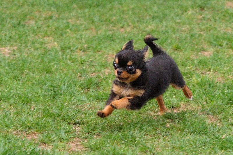 a0016775_23322284.jpg