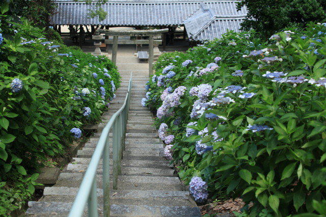 c0148777_20295163.jpg