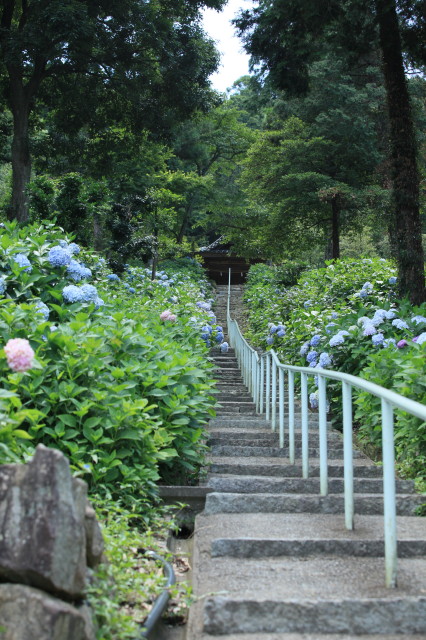 c0148777_20302290.jpg