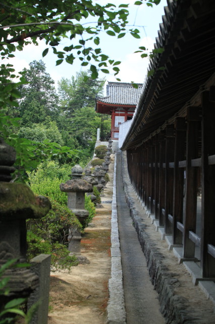 c0148777_20305691.jpg