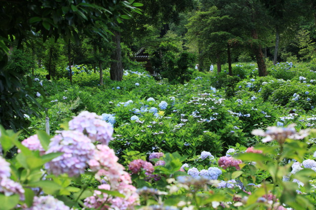 c0148777_20313027.jpg