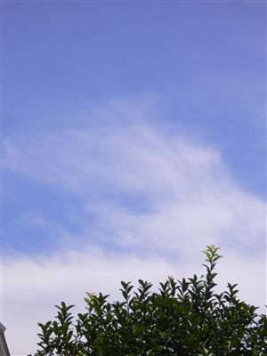 f0001378_23235598.jpg