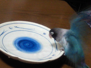 e0175288_16442662.jpg