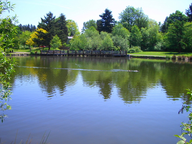 b0145289_15464941.jpg
