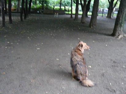 c0123890_21562377.jpg