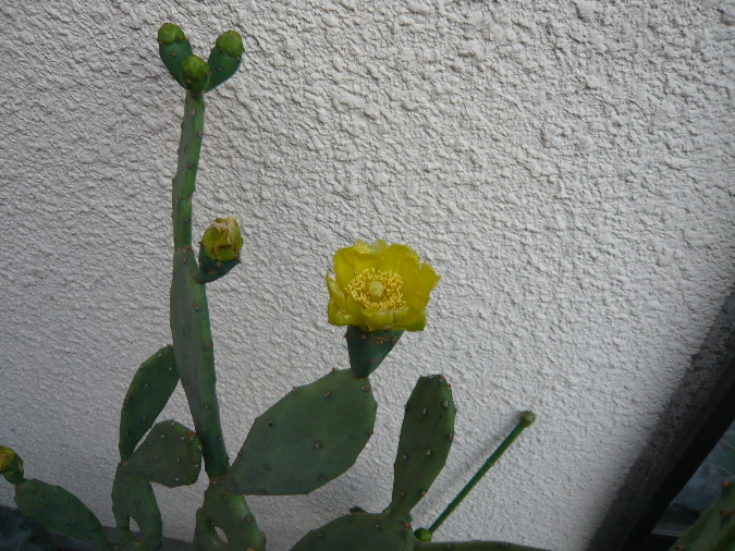 b0177792_18364456.jpg