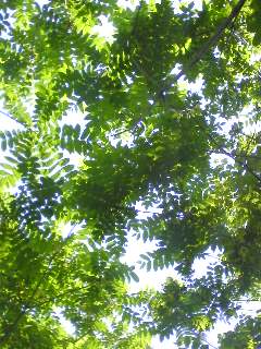 c0095492_20135352.jpg