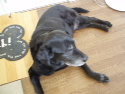 c0086895_10475031.jpg
