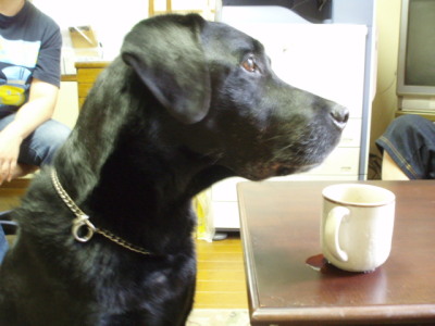 c0086895_11164991.jpg