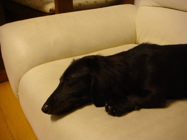 d0098295_23304948.jpg
