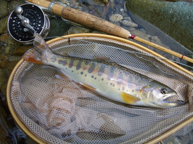 b0172805_6525133.jpg