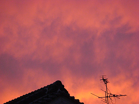 a0041508_17121734.jpg