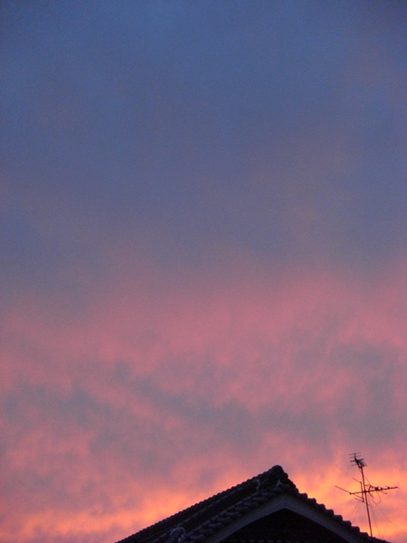 a0041508_1763875.jpg