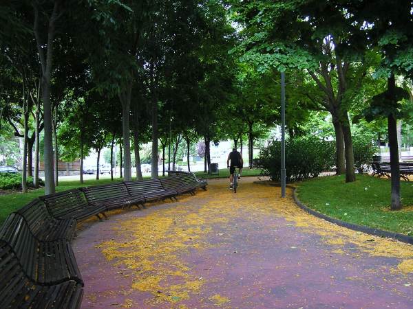 b0064411_027405.jpg