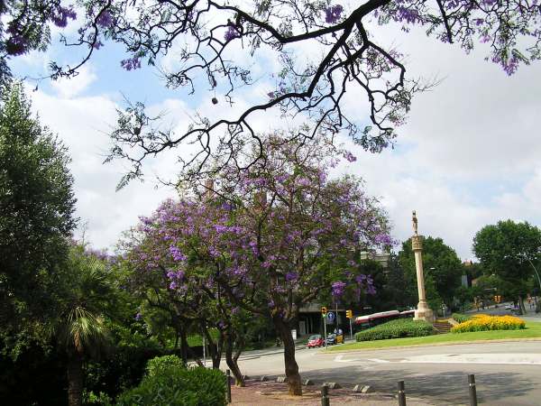 b0064411_037850.jpg