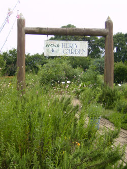 f0208812_1737728.jpg