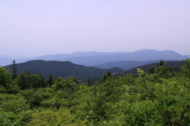 f0207313_2515323.jpg