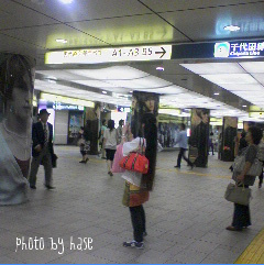 c0175715_1446860.jpg