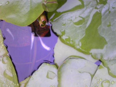 f0151515_074351.jpg