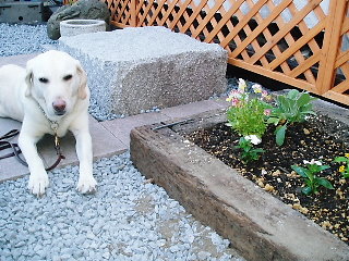 f0192117_20273688.jpg