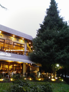 d0005519_10295663.jpg