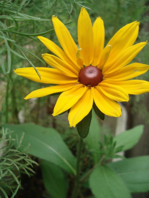 e0110719_2146178.jpg