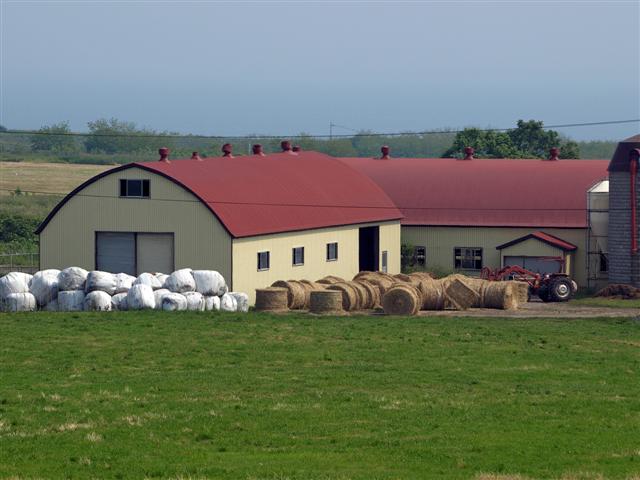 b0171523_14124385.jpg