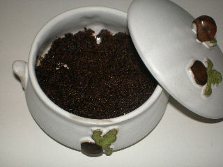 c0095424_1351052.jpg