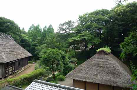 a0131025_2071667.jpg