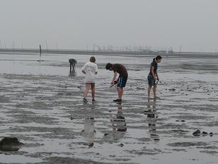 c0193425_113355.jpg