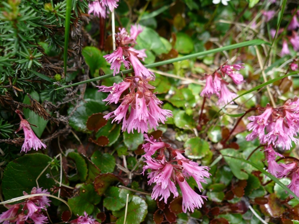 a0049226_0231776.jpg