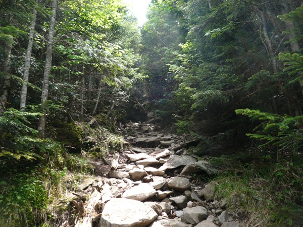 a0049226_0354464.jpg
