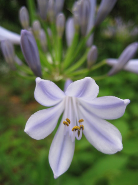 d0147727_705280.jpg