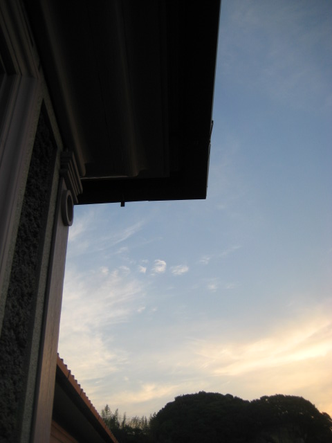 d0147727_7329.jpg