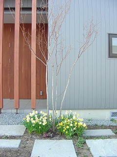 f0205733_114112100.jpg
