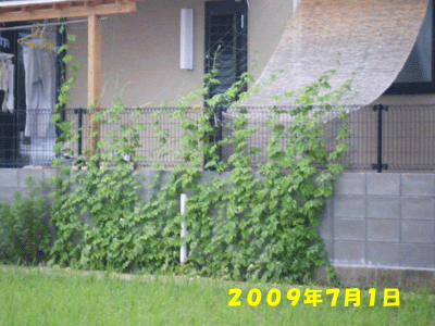 f0008935_0461529.gif