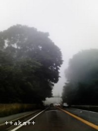 f0150945_1110516.jpg