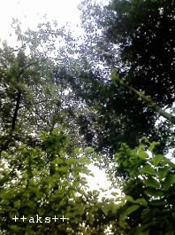f0150945_11121772.jpg