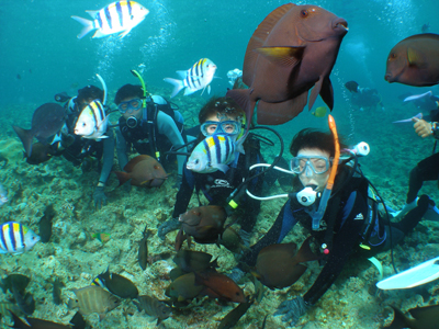 d0065247_2301821.jpg