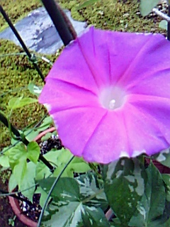 b0173548_20144195.jpg